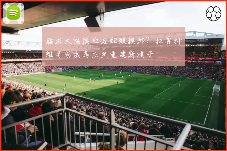 猛龙大幅换血后酝酿换帅?拉贾科维奇或成乌杰里重建新棋子