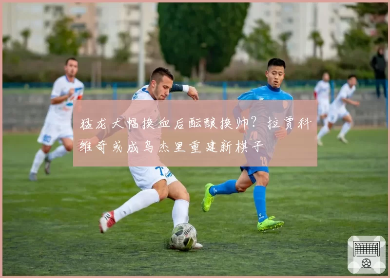 猛龙大幅换血后酝酿换帅？拉贾科维奇或成乌杰里重建新棋子