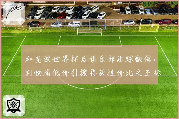 加克波世界杯后俱乐部进球翻倍,利物浦低价引援再获性价比之王标签