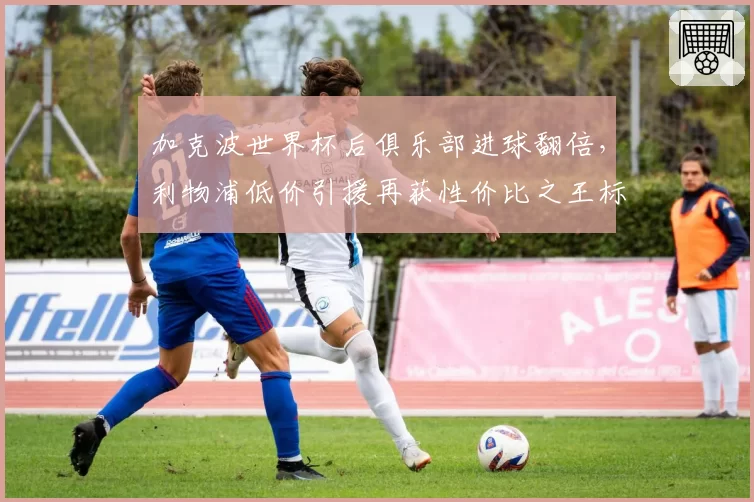 加克波世界杯后俱乐部进球翻倍，利物浦低价引援再获性价比之王标签