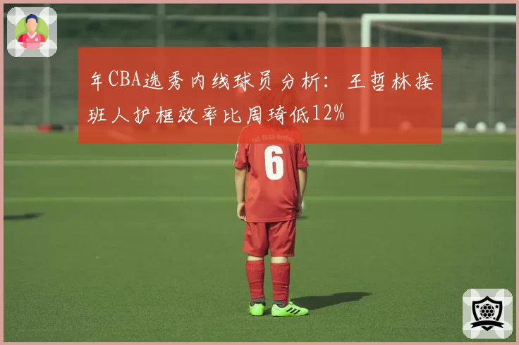 年CBA选秀内线球员分析：王哲林接班人护框效率比周琦低12%