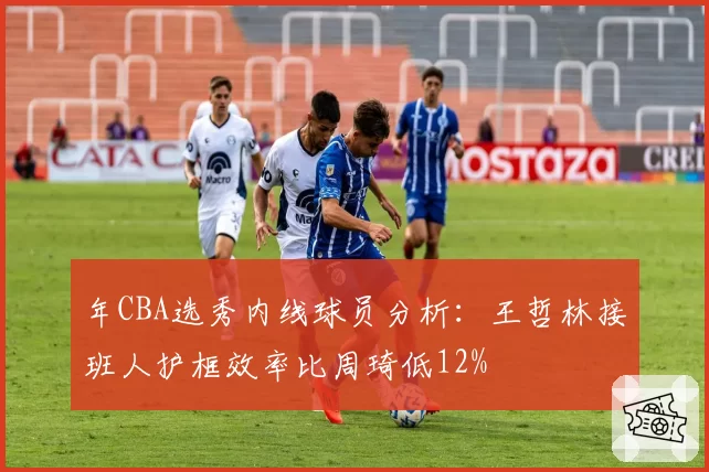 年CBA选秀内线球员分析：王哲林接班人护框效率比周琦低12%